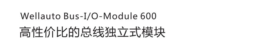 IM600-1.jpg